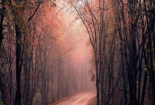 我的世界 服务器进不去 无效会话 请重启客户端 为啥正版验证服进不去