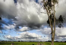 我的世界 服务器进不去 无效会话 请重启客户端 为啥正版验证服进不去